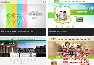鄭州三牛 網(wǎng)站建設(shè)公司的價(jià)格與規(guī)格全解析